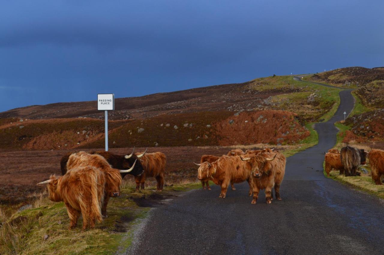 Rosemount Two - Highland Holiday home *