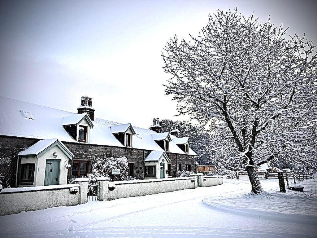 Rosemount Two - Highland Garve