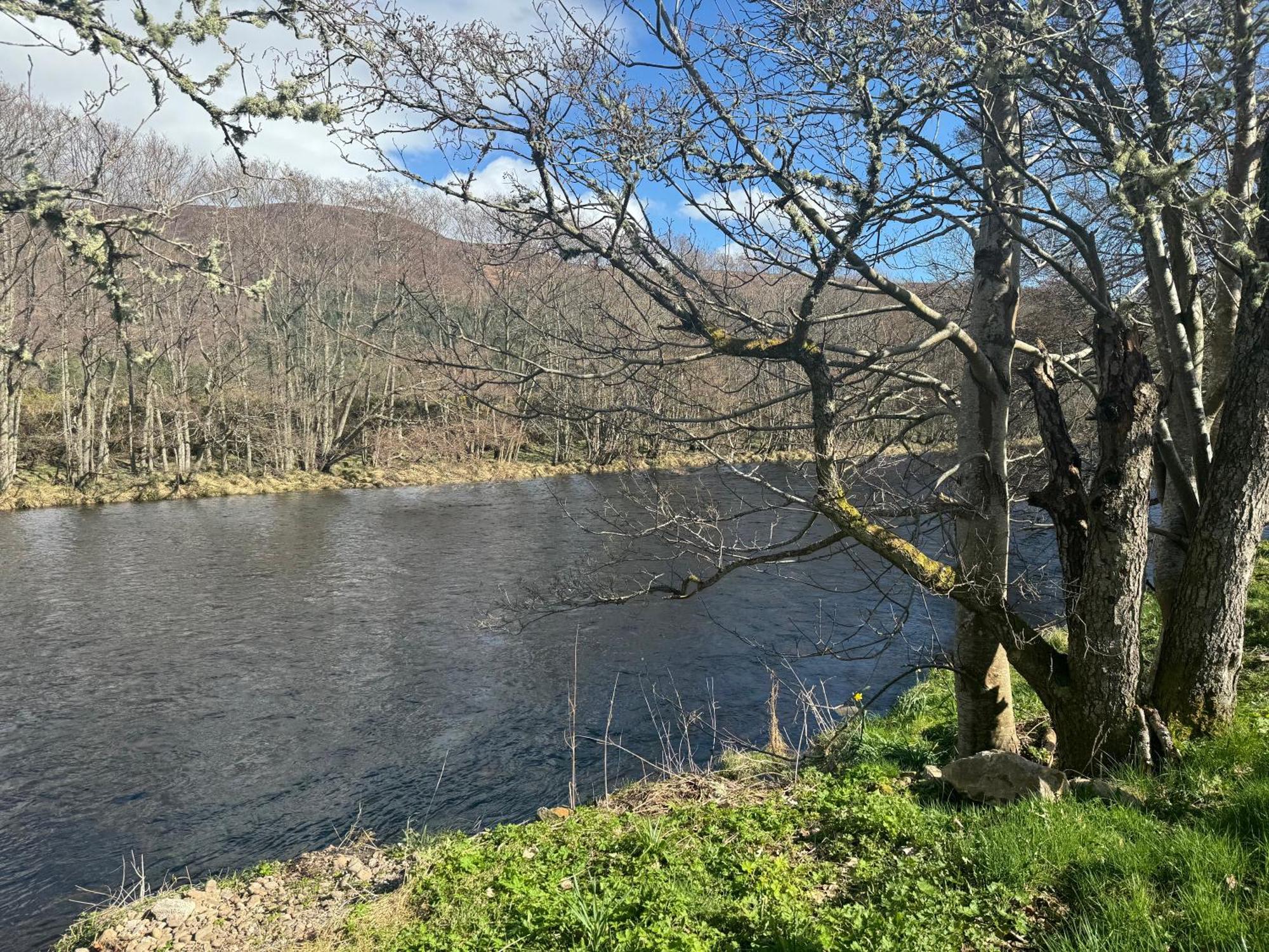 Rosemount Two - Highland Holiday home Garve